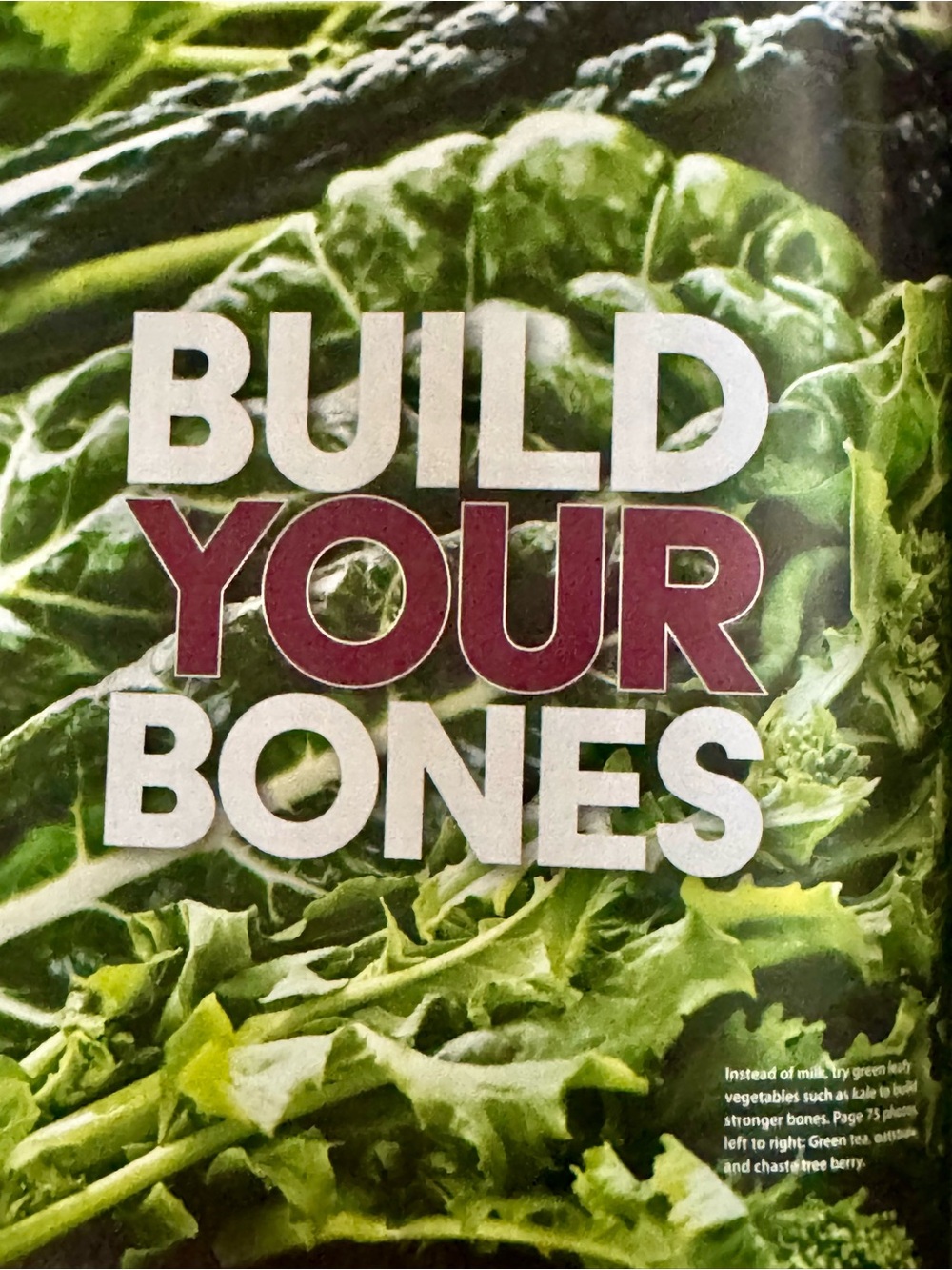 Mother Earth News Magazine Collector Series 2025 Grow Cook Heal with Herbs - Picture 11 of 14